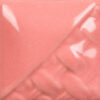 SW-511 PINK GLOSS